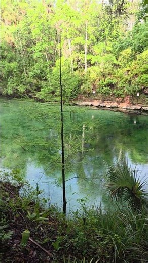 Video of Blue Spring State Park Campground, FL from paul Z.
