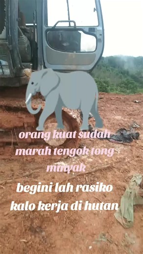 Excavator Operation at Construction Site