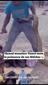 262K views · 972 reactions | Toi ,tu vas plus faire un test avec un python devant les gens  | Kone Drissa | Facebook