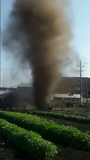 Whirlwind