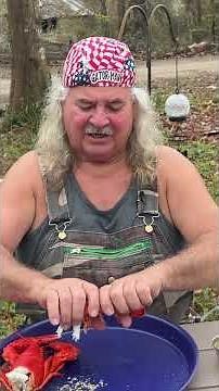 How to Eat a Lobster! #howto #lobster