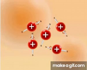Nuclear spin in a magnetic field on Make a GIF