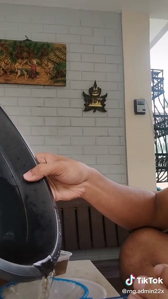 How to Safely Transfer Betta Fry: Breeding Tips & Tricks