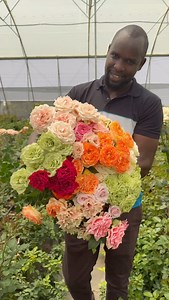 A sneak peek in the kitchen at De Ruiter East Africa! So many specialties are on the way! Thursd. colleague Edwin Kirwa is showing you those splendid new varieties. Edwin and I visited De Ruiter innovations at Lake Naivasha. @deruiterinnovations is one of the market leaders in breeding spray roses! | Peter van Delft