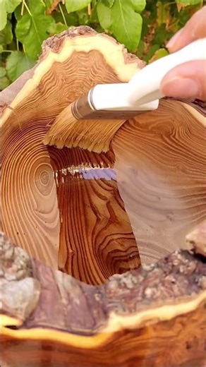 Turning a wooden bowl #woodworking #wood #woodscraft