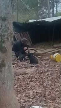 Livestock Neutrality: Introducing Puppies to Goats