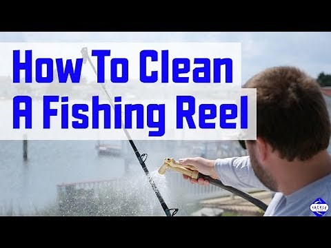 How to Clean a Fishing Reel