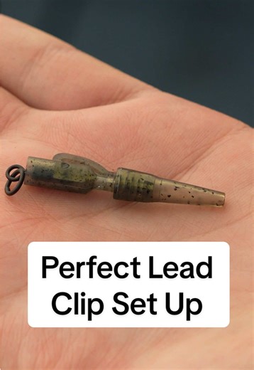 Essential Lead Clip Setup for Carp Angling