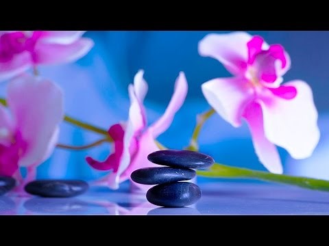 8 HORAS de Música Relajante 🌺 Música Meditación, Relajación, Dormir, Estudiar, Trabajar, Spa, Zen