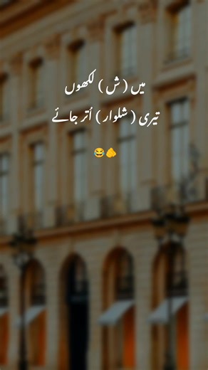 Creative Lines for Aesthetic Inspiration