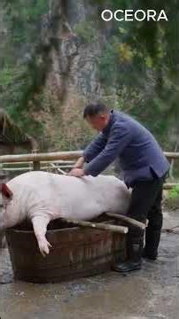 New Year Begins With Smoke, Fire, and Tradition #food #nature #new #cooking #bamboo #newyear