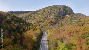 Forillon National Park, Gaspe, Quebec, Canada. Drone. 4K. Road leading through beautiful trees