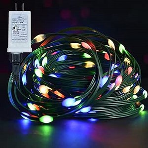 Plug in Rope Lights Multi-Color 33ft 100 LEDs Waterproof Fairy String Lights Decor with Remote Timer 8 Modes for Easter,Party,Wedding Christmas (Green Lights Strip)