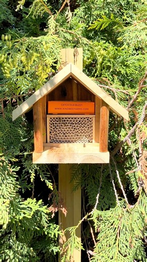 Already missing that gentle morning hum of our busy little pollinators 😌🐝 Our leafcutter bee houses may have just gotten tucked away for winter, but we’re already buzzing with excitement for next season! 👉 2026 pre-orders are opening VERY SOON 👀 Don’t miss your chance to welcome these incredible pollinators back to your garden next spring! | Kind Bee Farms