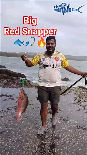 Monster Red Snapper landed! 💥🎣Caught by angler Omkar after an insane fight in the deep blue! 🐟🎣🔥