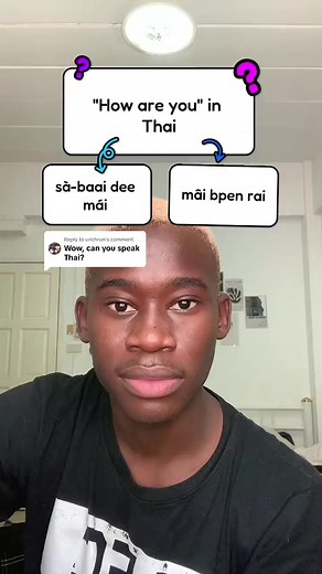 Learning Thai Phrases: Sabai de Mai, Pet, Kof Kun, Siedang, and Cow