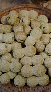 Woven from the delicate strands of Chinese grass, this ancient cloth is as light as a cicada’s wing and as soft as flowing silk. Once reserved for royalty, it is now a whisper from the past—an exquisite living fossil in the world of textiles. #AcrossAsia #AncientTextile #ChineseCraft #SilkOfGrass #LivingFossil #CicadasWing #TraditionalWeaving #AsianHeritage | Across Asia