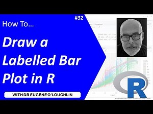 How To... Draw Labelled Bar Plot in R #32