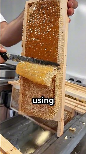 Why Beekeepers Scrape Honeycomb