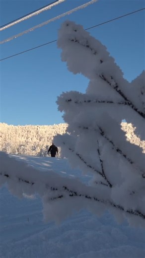 Tomas Nordström on Instagram: "Snowmaking in Tarnaby for next season#tärnaby #tärnafjällen #tärnabyalpint #tärnabyhemavan #tärnabyskidhem #slalom #slalomski #slalomskiing #snow #snø #sol #winter #vinter"