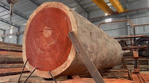 Extreme Sawmill Machines at Work - Transforming Red Incense Wood