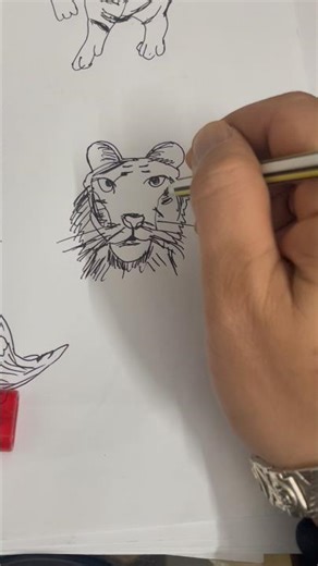 Draw A Tiger Head