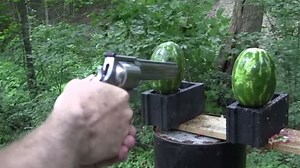 What a "BEAST" of a Gun! 500 Magnum vs. Watermelons. - AllOutdoor.com