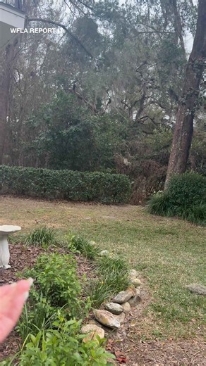 Snow flurry reported in Brooksville