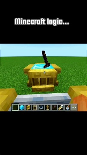 Minecraft hack...#shorts #minecraft #hack