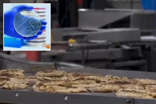 Listeria scare triggers massive recall of nearly 7 tons of ready-to-eat chicken in several states
