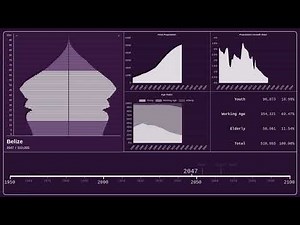 🇧🇿 Belize — Population Pyramid from 1950 to 2100