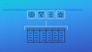 Custom Views and Reporting