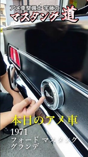 今日のアメ車 1971 マスタング グランデがまるで悪党？#マスタング #アメ車