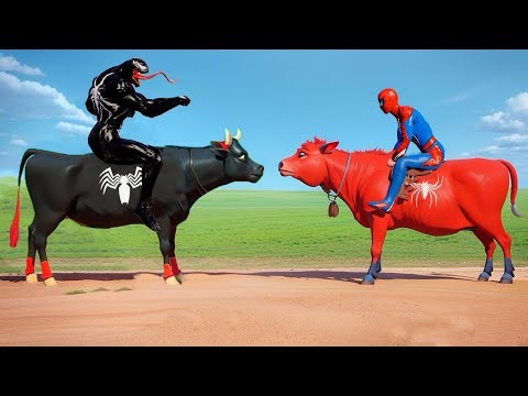 Team Cow Spider Man Parkour on Bridge Rainbow Ride ► Superhero Surprise Cow Venom - Crazy Dance Game