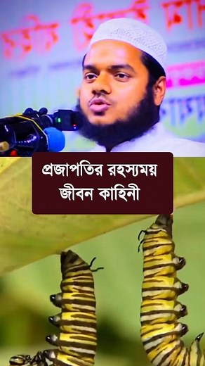 রুহের সাথে প্রজাপতির চমৎকার মিলবন্ধন । শাইখ আব্দুল্লাহ বিন আব্দুর রাজ্জাক #waz #lecture #abdullahbinabdurrazzaq #bmw #facebookreels | Abdulla Bin Abdur Razzak all lecture