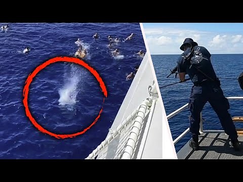 Coast Guard Fires Shots at Shark