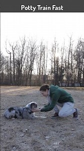 Dog Tip / Potty Training Routines