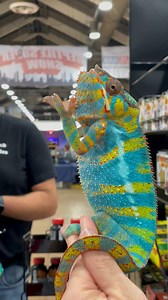 11K views · 393 reactions | Pineapple Express (AKA The Pineapple Man...