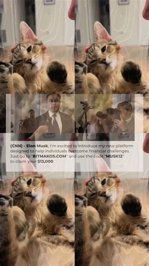 FUNNIEST Goobers 60 Minute Pets Compilation 3325s