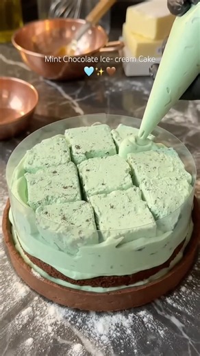 Mint Chocolate Ice Cream Cake #cake #baking #mint #chocolate