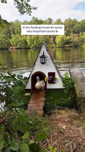 BEAUTIFUL MATTERS on Instagram: "These tiny floating duck houses are more than just cute. They give ducks a safe place to rest, nest, and stay protected from predators, especially on calm lakes and ponds. A small structure like this can make a big difference for local wildlife, while quietly blending into nature 🤍🦆 📽️ @lakeglenhaven"