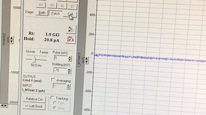 Patch clamp giga seal
