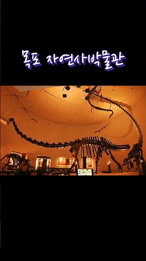 목포 자연사박물관 #travel #국내여행 #가볼만한곳