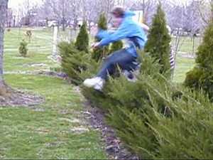 backyard fails