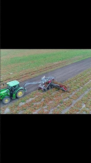 Modern Farming Machine in Action | Automatic Tomato Harvester Technology