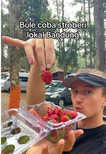 Didi Diva (@didi.divaa)’s videos with original sound - Didi Diva