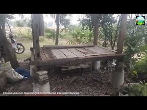 DIY Rabbit Free-Range Hutch Build — Outdoor Bunny Enclosure | Rabbit Care & Enrichment Guide