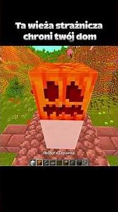 Zrób to natychmiast #minecraft