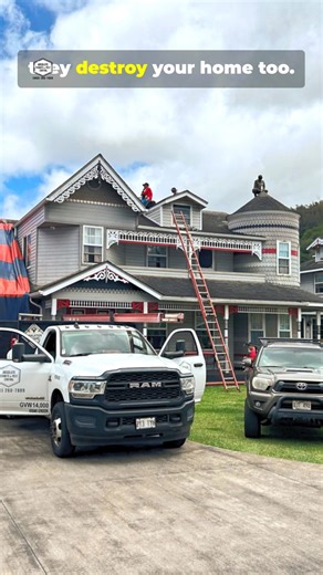 18 reactions | Absolute Termite & Pest Control Hawaii #localbusiness #oahu #oahuhawaii #oahurealestate #termitecontrol | Absolute Termite & Pest Control Hawaii | Facebook