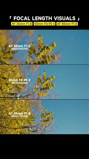 📸 35mm vs 50mm vs 85mm | Same street. Different focal lengths